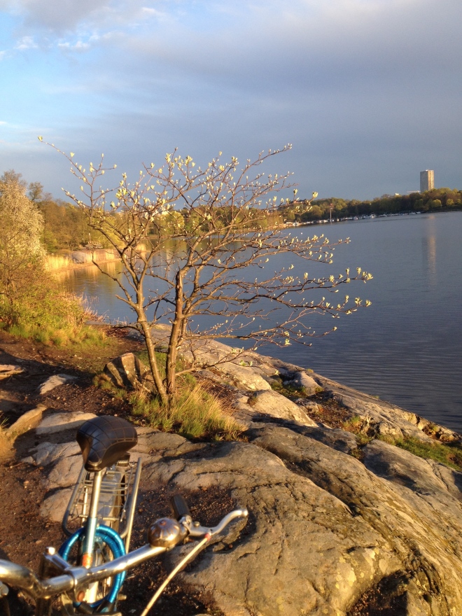 Biking around Brunnsviken, lake near new apartment